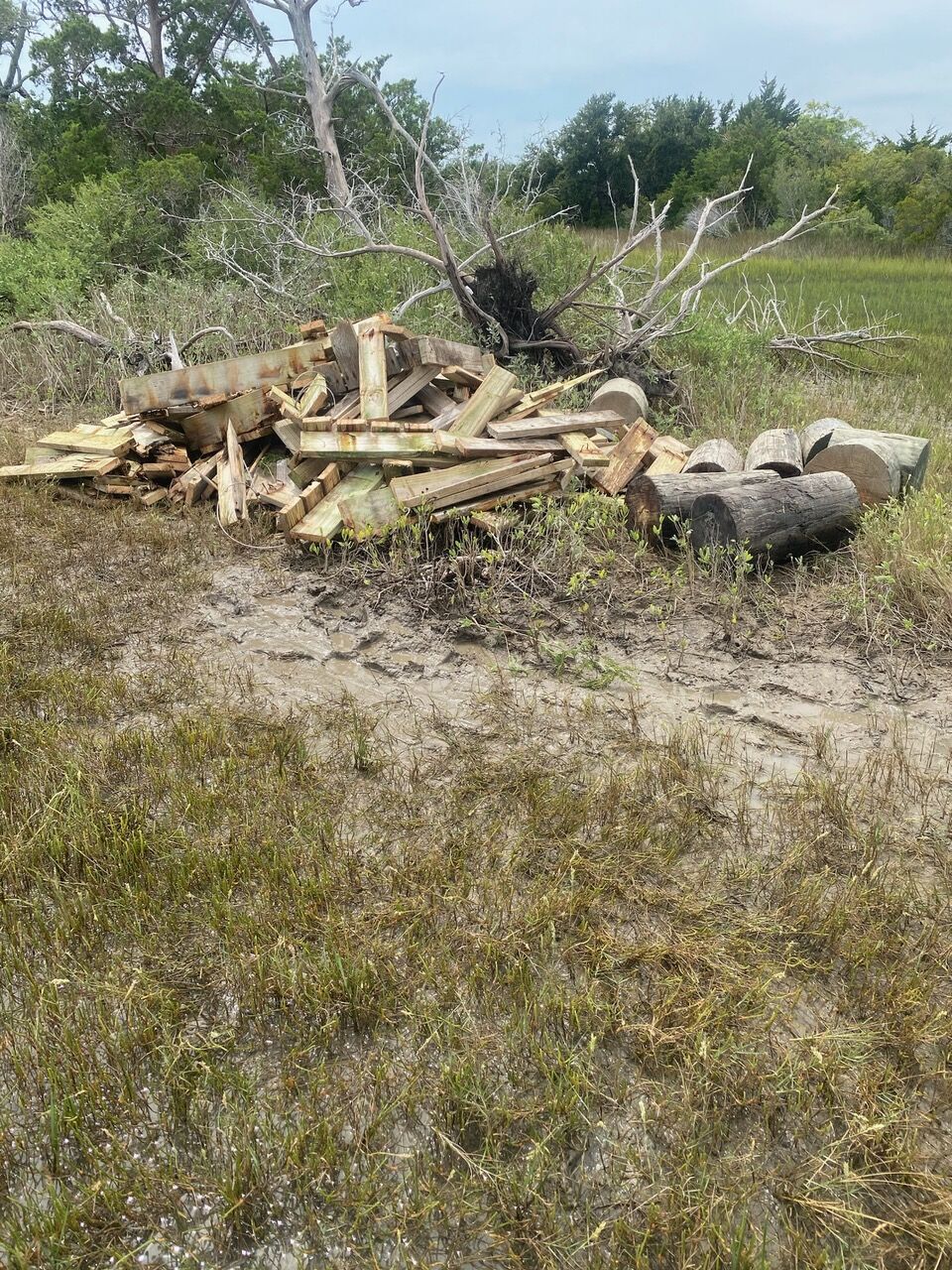DCM, NCCF receive grant for debris and derelict removal